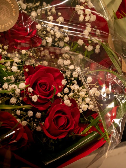 A bouquet featuring three large, fully bloomed red roses with velvety petals, complemented by sprigs of delicate white baby's breath flowers. The arrangement is wrapped in clear cellophane, allowing t