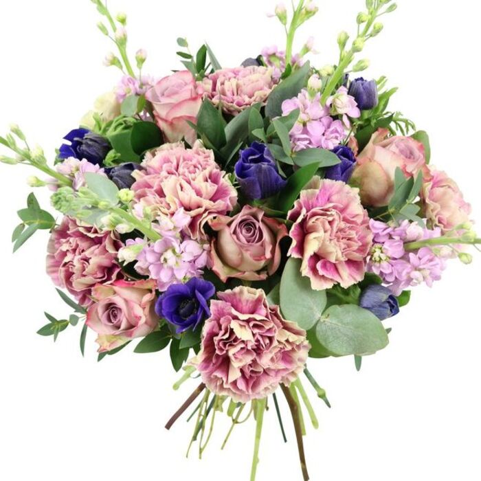 Set against a simple white backdrop, this lush hand-tied bouquet appears as if it has just been lifted from the worktable of a skilled Becontree Heath florist, every flower intentional and precisely placed. At the centre, large, fully opened garden roses in shades of dusty pink, soft blush and antique mauve form a romantic focal point, their spiralled petals layered like fine fabric. Around them cluster frilled carnations, each bloom displaying a subtle gradient from creamy beige or pale pink at the heart to deeper rose and plum-toned edges, adding both fullness and a playful, ruffled texture. Deep indigo and royal blue flowers introduce a dramatic counterpoint: some are tightly cupped, reminiscent of tulips, while one prominent anemone opens wide with a dark, almost inky centre that adds depth and a touch of drama near the front of the arrangement. Slender stems of lilac and pale lavender stock thread through the bouquet, their many small blossoms forming soft vertical lines that draw the eye upward and lend an airy movement. Surrounding everything is a frame of greenery, from rich, dark rose leaves to the distinctive rounded, silvery-green discs of eucalyptus, which hint at a cool, refreshing scent. The stems are neatly gathered and visible at the base, tied in a classic hand-tied finish that speaks of freshness and same-day delivery across Becontree Heath and nearby streets off Green Lane. With its blend of romantic pinks, serene purples, dramatic blues and clean greens, this arrangement feels equally at home as a centrepiece for an intimate dinner, a thoughtful anniversary gift, or a graceful bouquet to send heartfelt wishes.